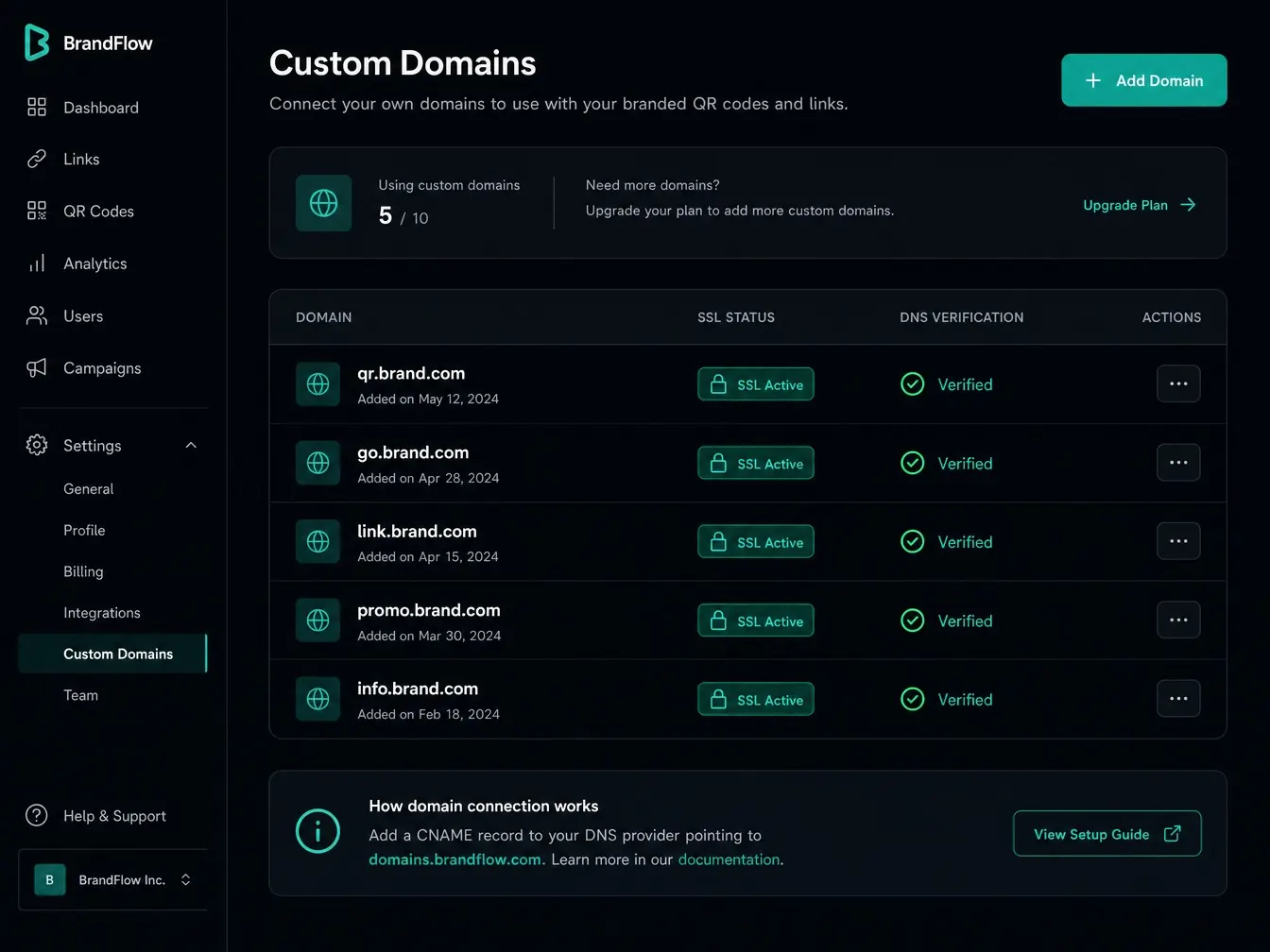 Custom domains settings screen showing connected domains with SSL and DNS verification status